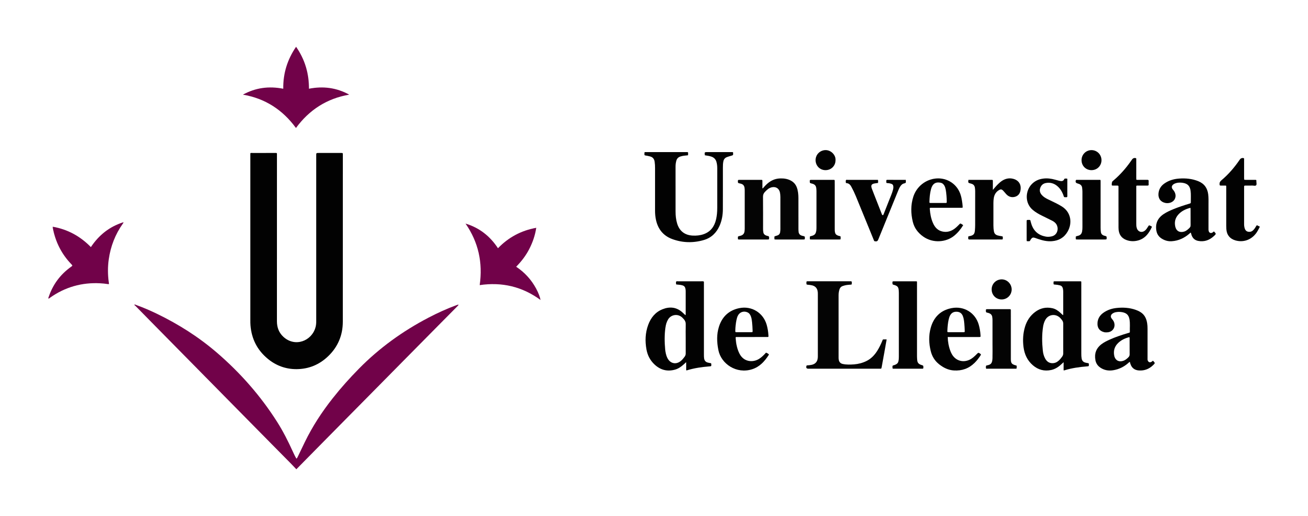 Universitat de Lleida Logo